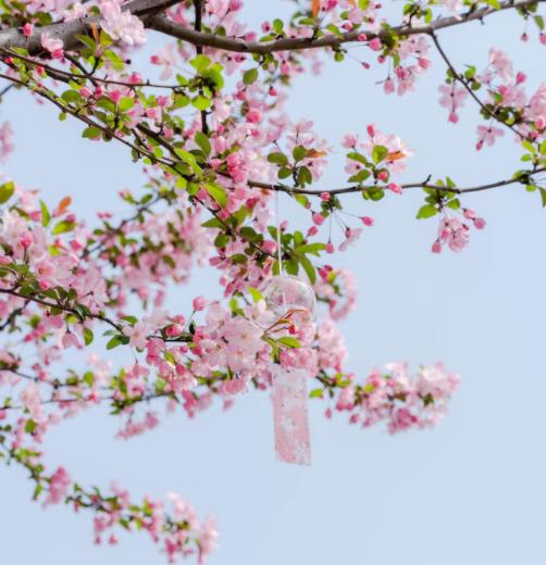 淘宝电脑版网页登录入口？taobaocom淘宝电脑版首页登录？